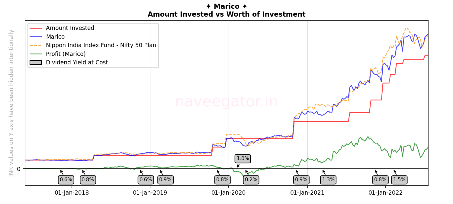 Five years as shareholder of Marico